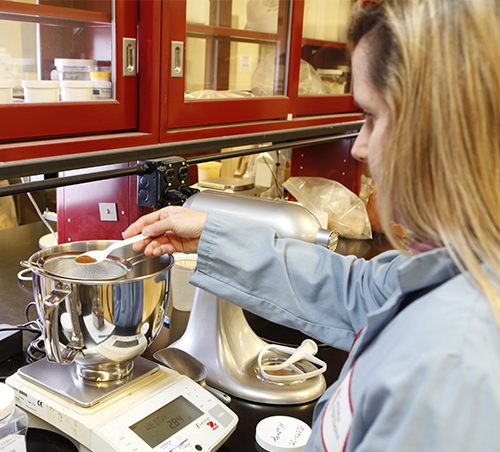 فيديو منزلي